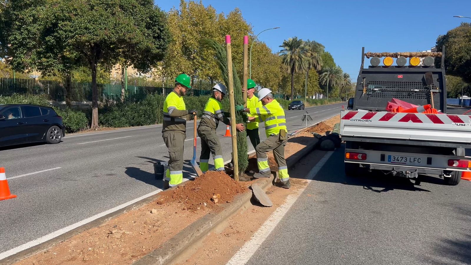 El Gobierno municipal avanza en el reajardinamiento de la Avenida de Kansas City con la plantación de 87 cipreses y un nuevo sistema de riego automático