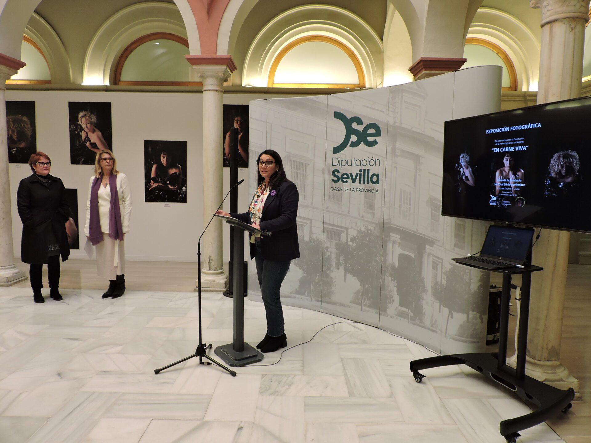 ‘En carne viva’, la exposición que presenta la Diputación con motivo del 25N y que podrá visitarse en la Casa de la Provincia hasta el 29 de noviembre