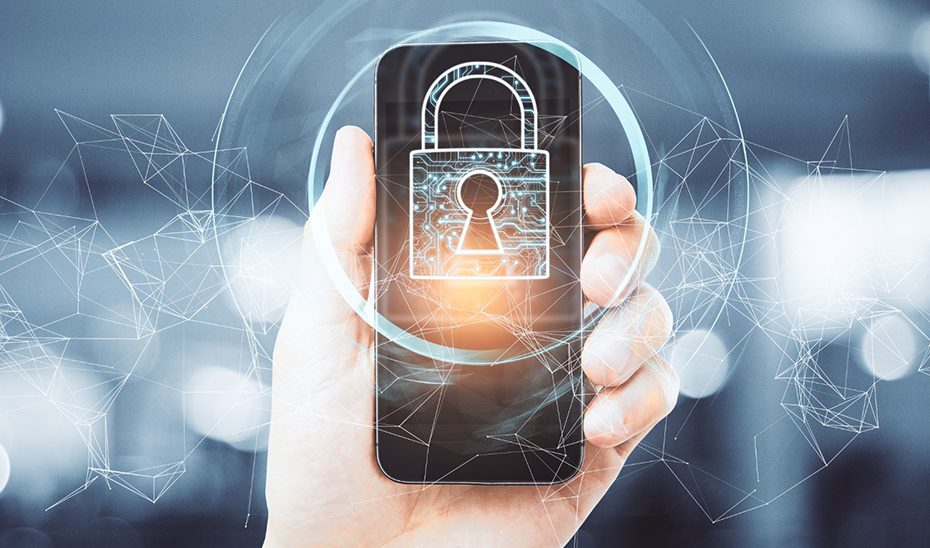 Contraseñas sólidas, sistemas actualizados y conexiones seguras, pilares de la seguridad informática