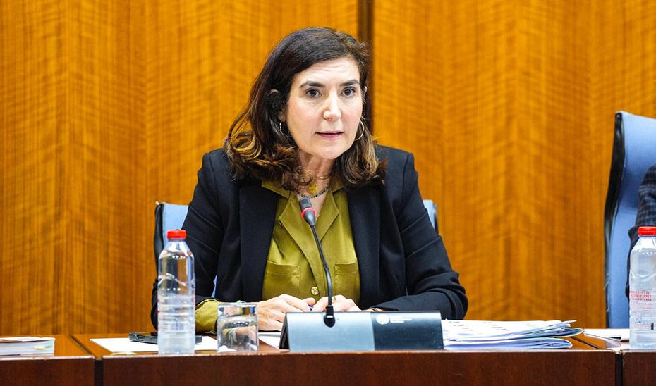 La automatización ha resuelto en 55 días el 70% de las ayudas al empleo de personas con discapacidad