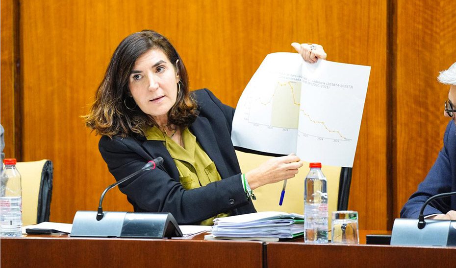 Los programas del SAE han llegado a casi 490.000 beneficiarios durante esta legislatura