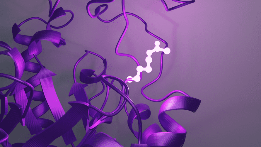 Descubren mecanismos de regulación metabólica clave en el desarrollo del cáncer
