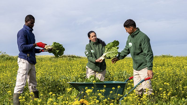Bioalverde SL, la empresa de inserción de Cáritas Sevilla, celebra diez años sembrando esperanza