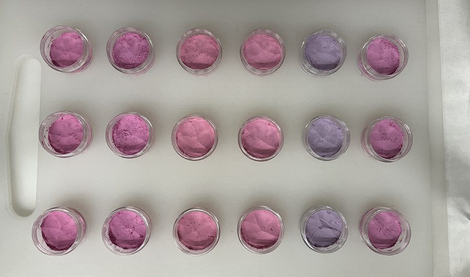 Investigadores andaluces logran colorantes de uso alimentario naturales más resistentes con arándanos