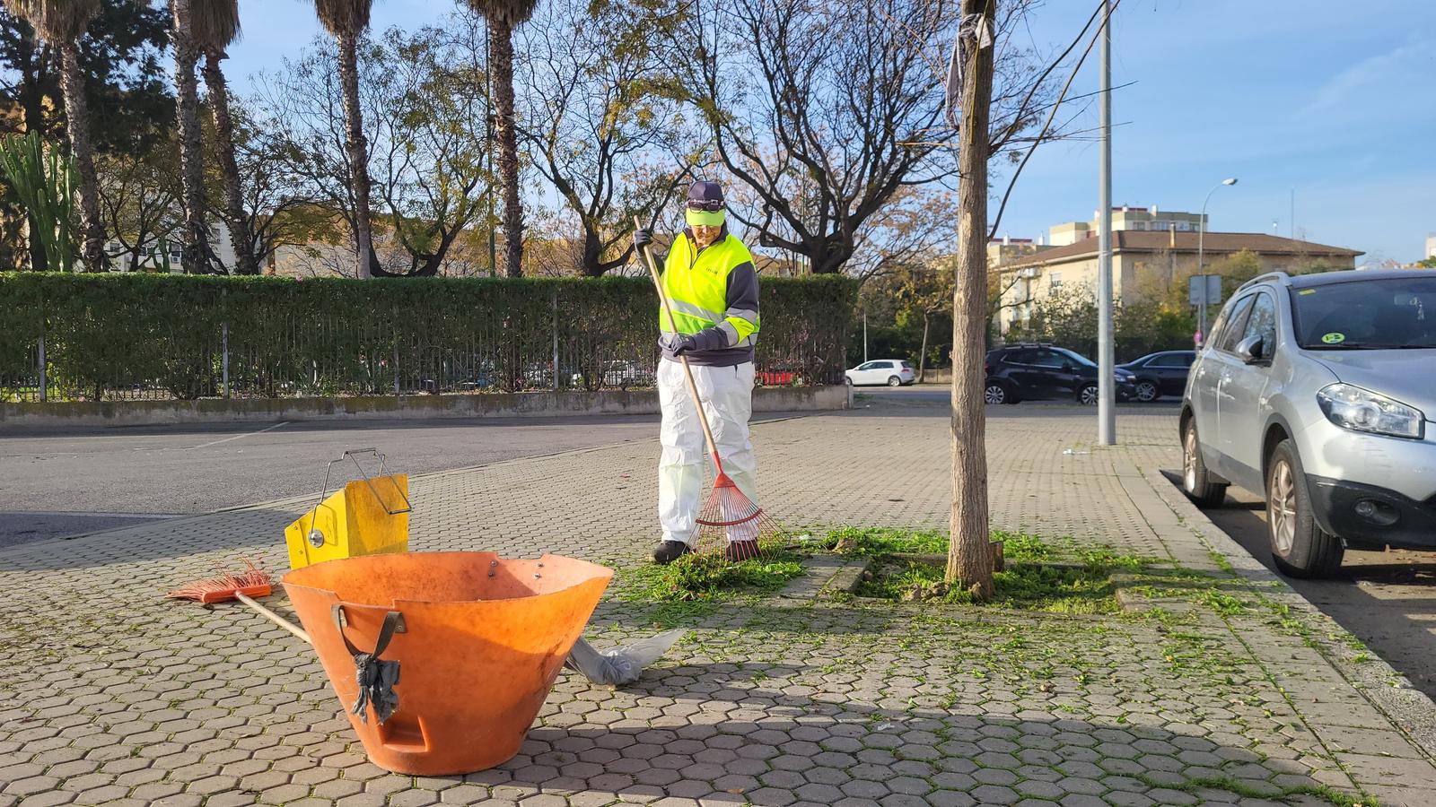 El Ayuntamiento activa un plan especial de desbroce, retirada de naranjas y refuerzo de la recogida selectiva con 121 nuevas contrataciones
