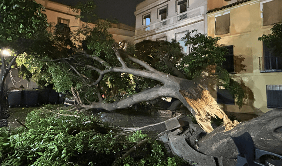 El 1-1-2 coordina una treintena de incidencias por la lluvia esta tarde en la provincia de Sevilla