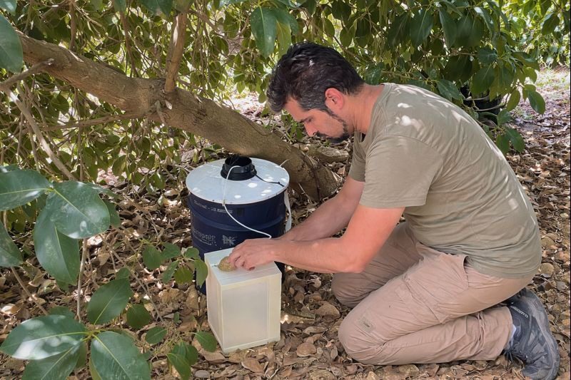 El Gobierno municipal consolida el control del Virus del Nilo tras confirmar la ausencia de resultados positivos en toda la ciudad