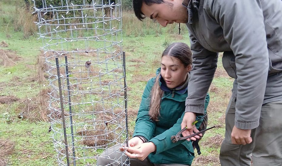 La dehesa de Sierra Morena, un aula al aire libre para aprender a cuidar y regenerar los montes