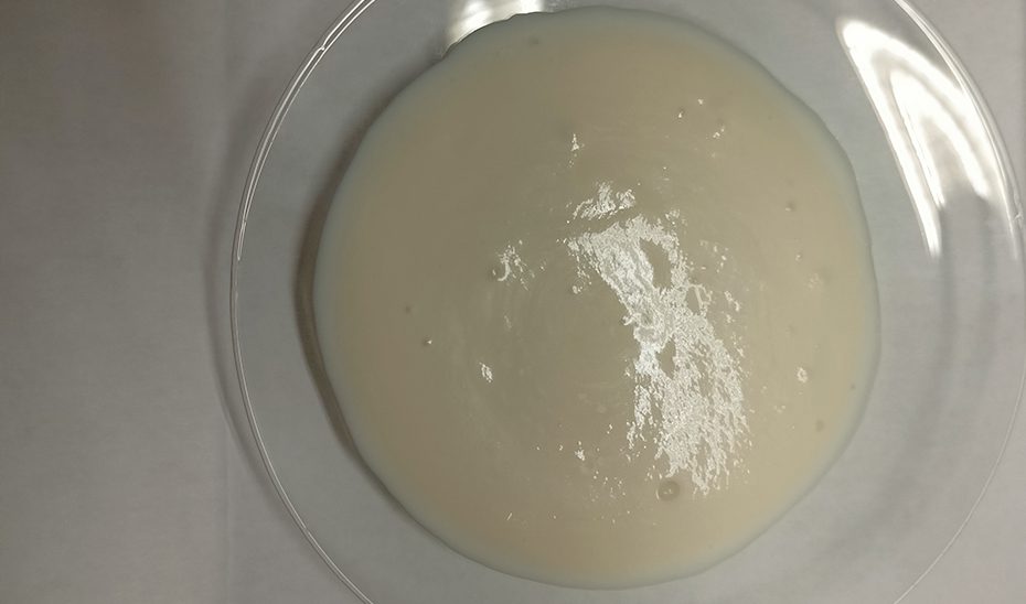 Investigadores andaluces obtienen una salsa libre de estabilizantes químicos a partir de vaina de guisante