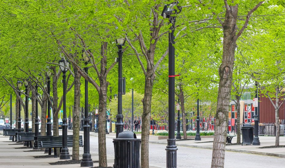 Andalucía moviliza cinco millones en subvenciones municipales para actuaciones frente al cambio climático