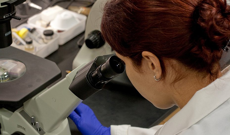 El Gobierno andaluz convoca ayudas por 10,96 millones para formar a 97 investigadores predoctorales