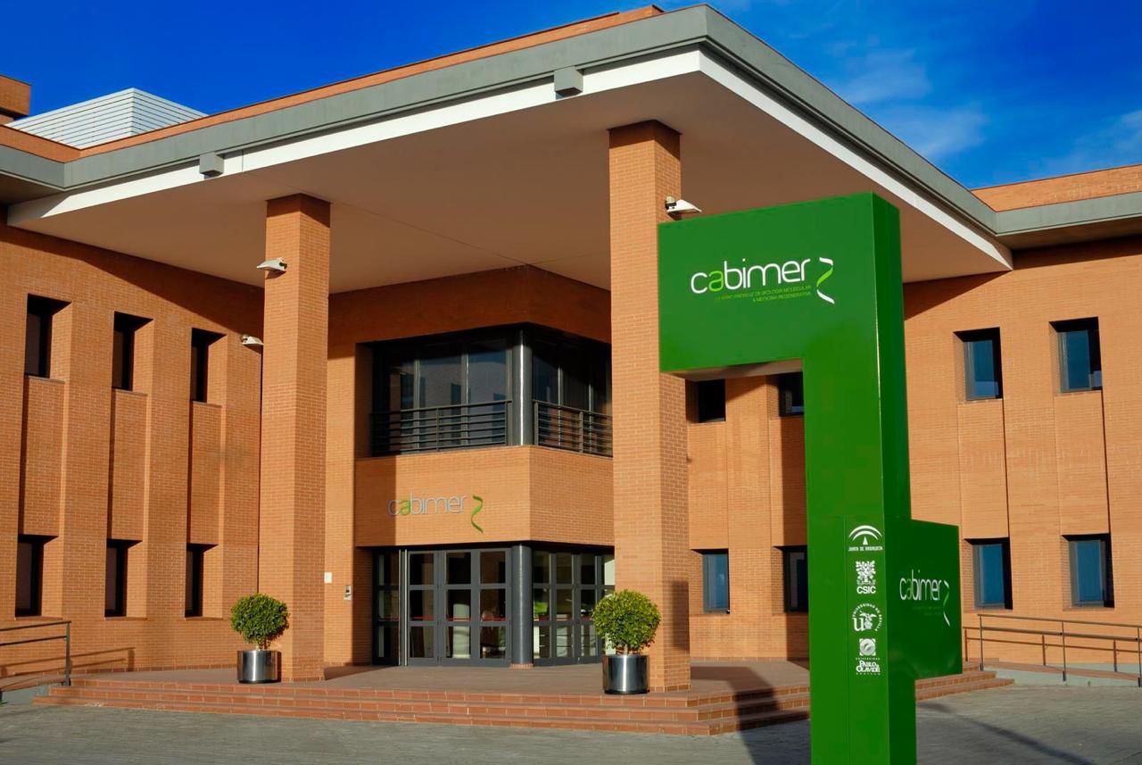 Cabimer se suma a las iniciativas municipales “Sevilla, Capital Espacial Española” y Foro del Espacio para impulsar a la ciudad como ‘hub’ de innovación científica aeroespacial