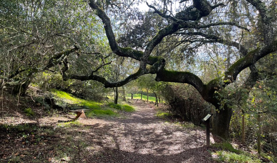 ¿Qué esconden la Cuesta del Reventón, la Rabilarga y la Tranquilidad?