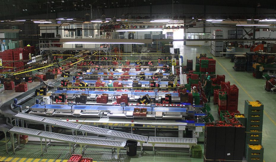 Agricultura impulsa con 88 millones la transformación y comercialización agroalimentaria