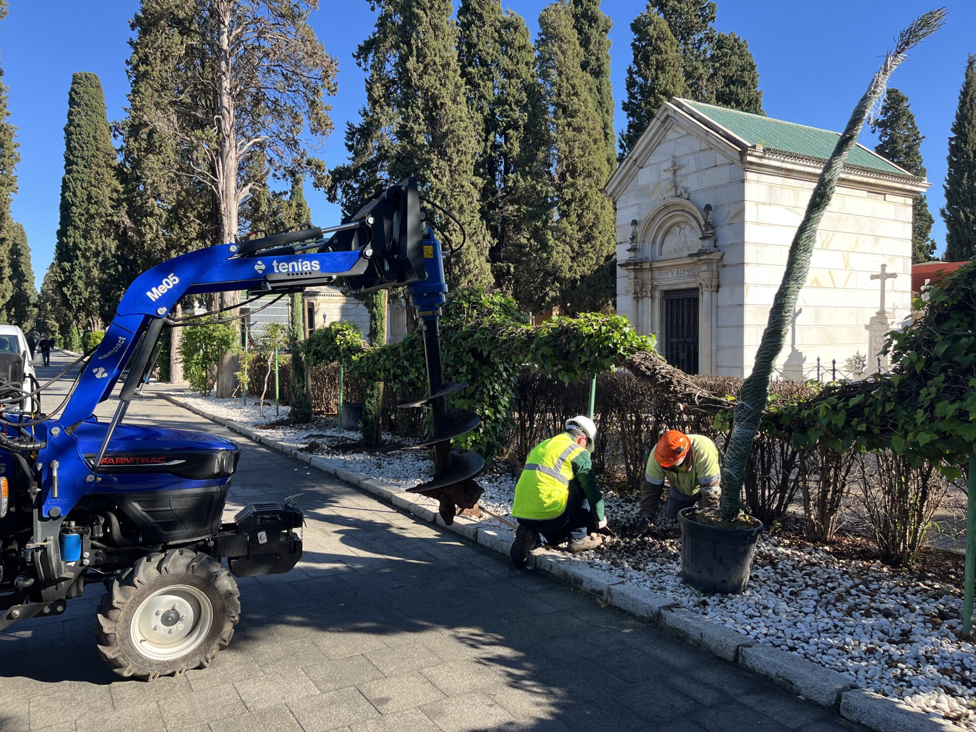 El Ayuntamiento impulsa 1300 nuevas plantaciones en el Distrito Norte con una actuación histórica en el Cementerio de San Fernando