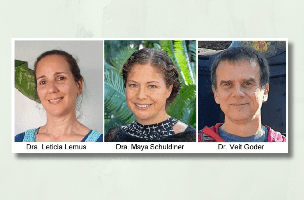 Descubren una nueva vía de control de calidad de proteínas en eucariotas