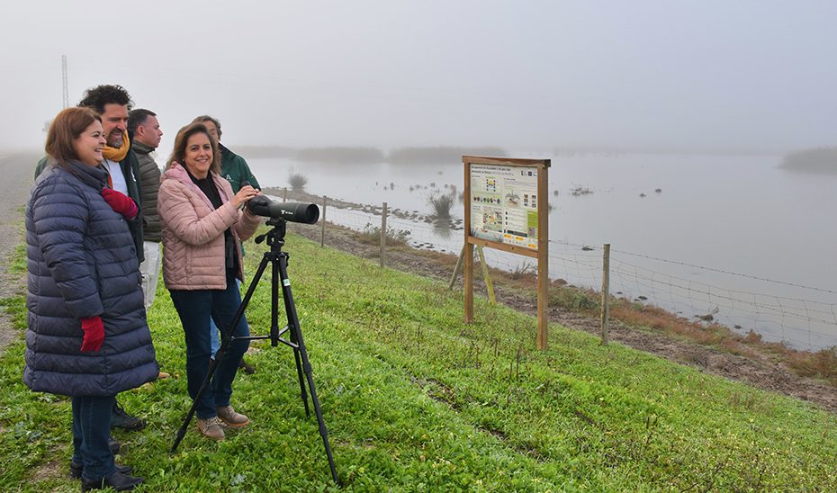 La Junta destina 1,3 millones a la mejora ecológica del Paraje Natural Brazo del Este de Sevilla