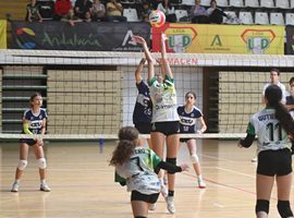 Un total de 562 equipos de 382 entidades participan en la quinta edición de la Liga LED