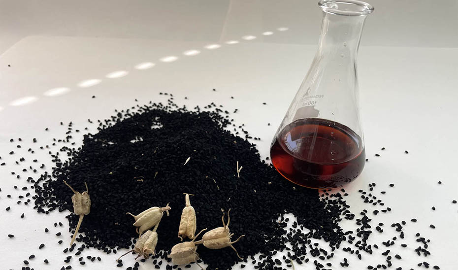 Científicos andaluces diseñan un método rápido para analizar las propiedades saludables del comino negro