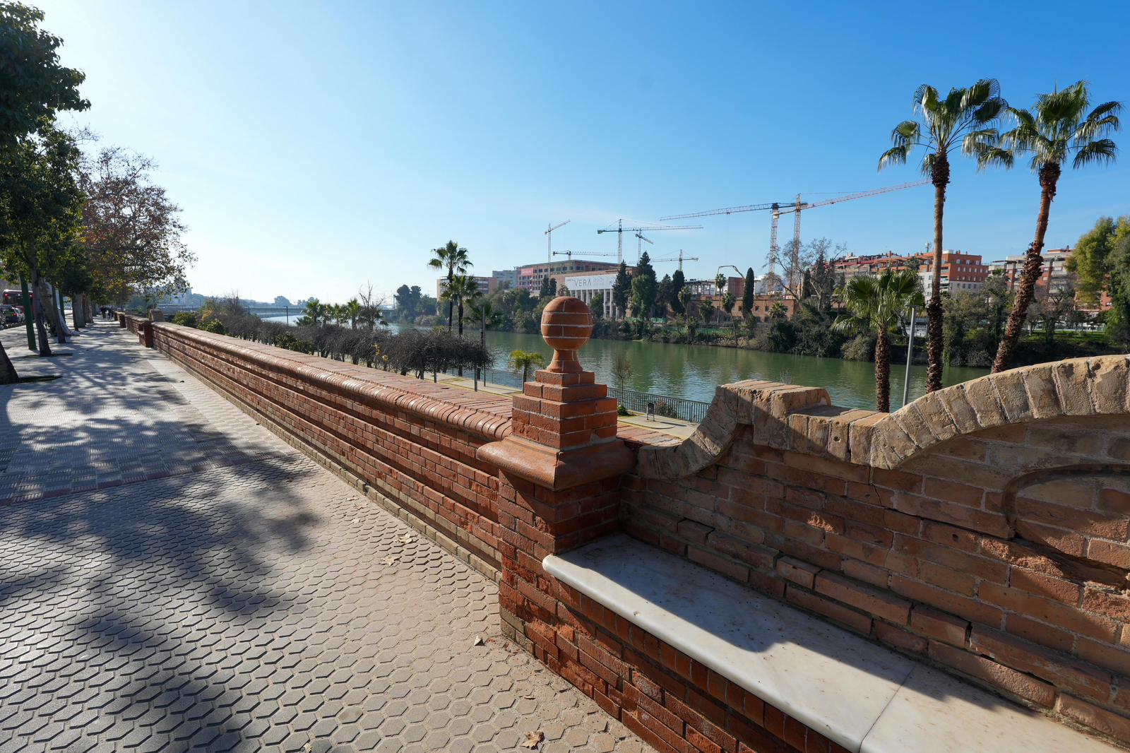 El Ayuntamiento avanza en los trabajos para la recuperación integral de los bancos del Paseo de las Delicias