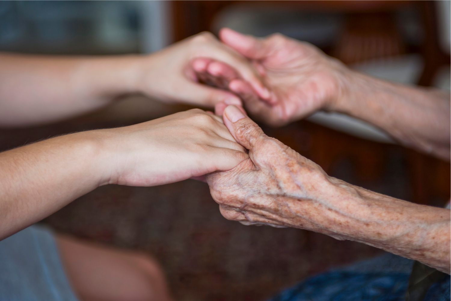 Voluntariado de acompañamiento para el ocio intergeneracional