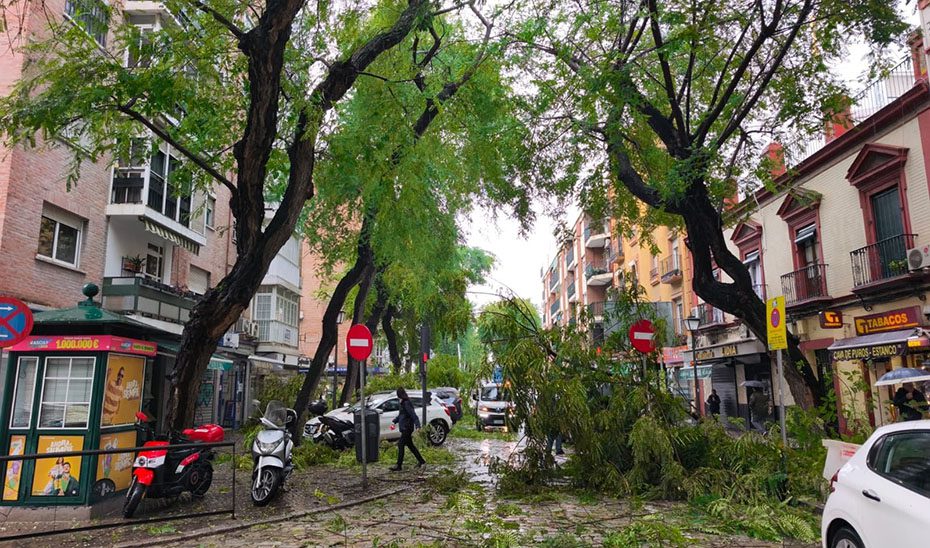 La madrugada se cierra sin incidencias de gravedad en relación a las borrascas Joseph-Kristin