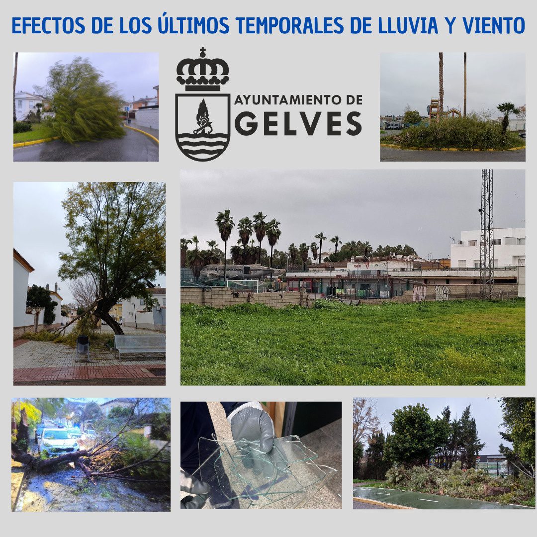 Gelves afronta el temporal sin daños graves gracias a la prevención y la coordinación de los servicios municipales