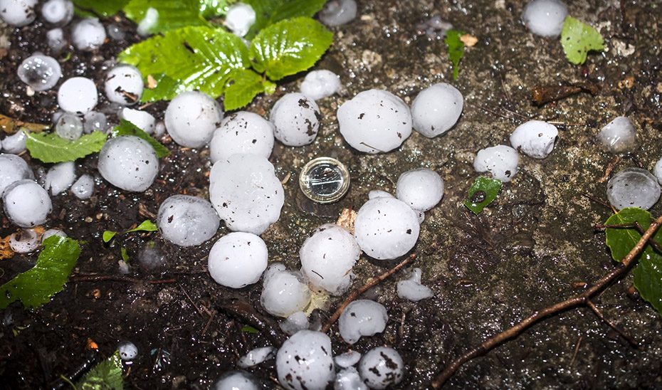 Ayudas por más de 16 millones para fomentar la contratación de seguros agrarios en Andalucía