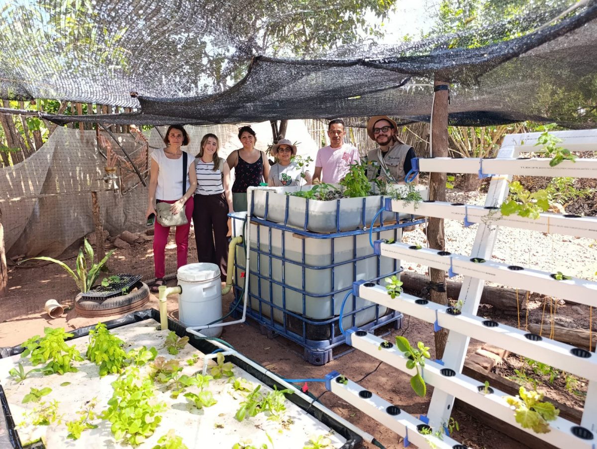Acuaponía familiar para la producción sostenible de alimentos en comunidades vulnerables