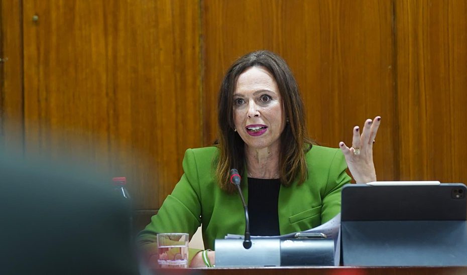 La Junta destina 8,5 millones a la rehabilitación de 341 viviendas en El Zaidín y La Chana en Granada