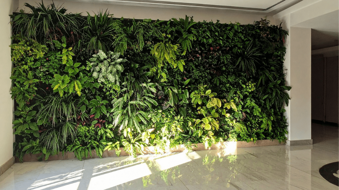 Demuestran la eficacia de los jardines verticales para mejorar la calidad del aire dentro de los edificios