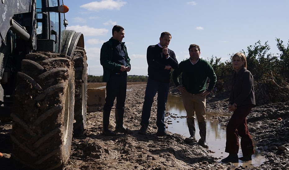 Moreno reclama a Europa que sume cuanto antes sus recursos al Plan ‘Andalucía Actúa’: “Os necesitamos”