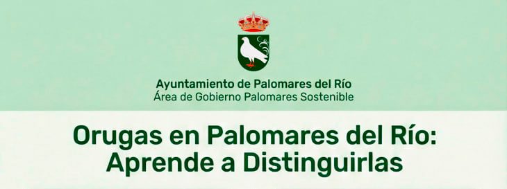 Cómo distinguir la oruga de los prados de la procesionaria del pino