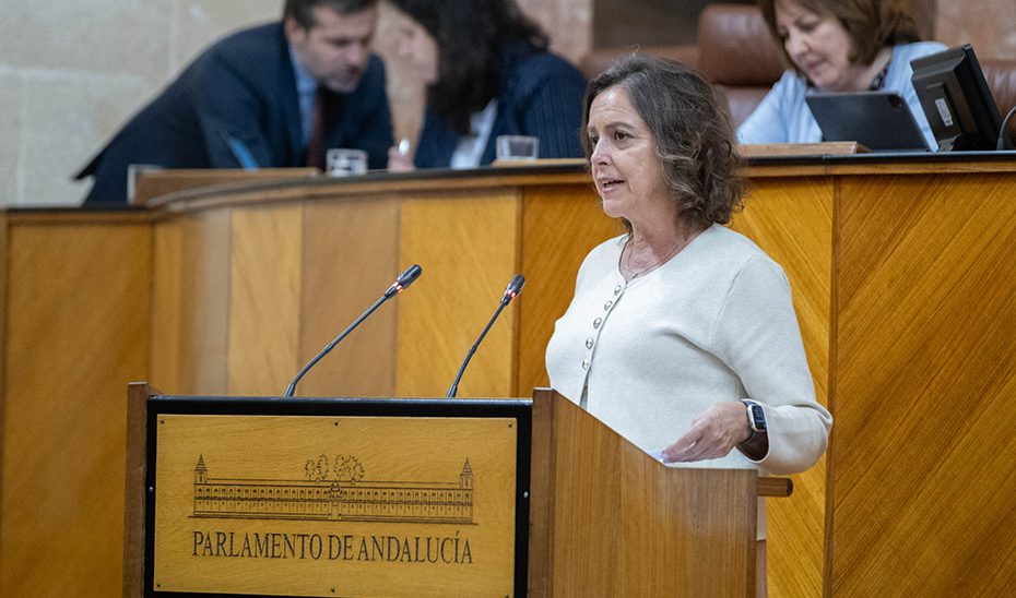 La Ley de Montes de Andalucía aprobada en el Parlamento renueva la normativa tras tres décadas