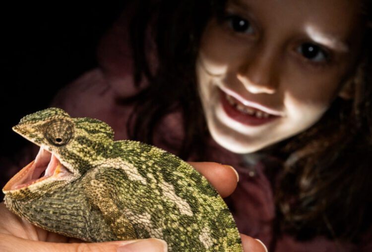 Arrancan ocho proyectos de ciencia ciudadana que abordan retos ambientales y sociales de Andalucía   La Fundación Descubre y la Universidad Pablo de Olavide impulsan estas iniciativas en el marco del proyecto ‘Andalucía + ciencia ciudadana’