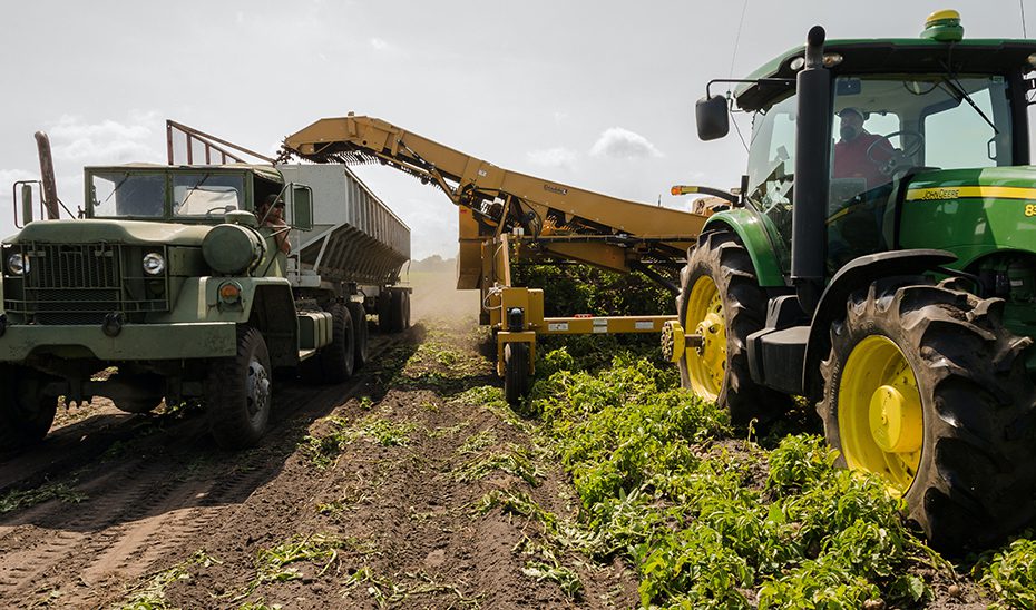 Nuevas medidas para apoyar a los productores agrarios afectados por el tren de borrascas