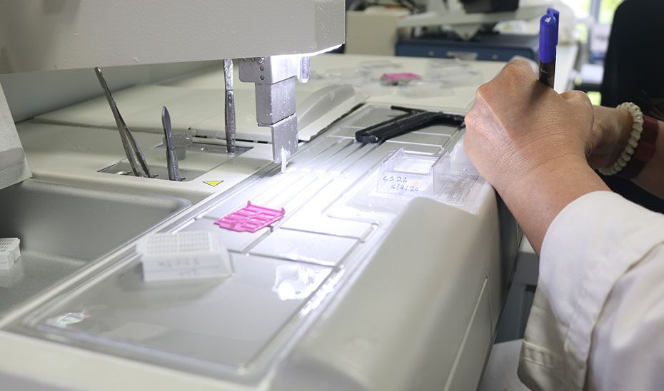 Andalucía logra 16 ayudas europeas ‘Marie Curie’ para captar talento investigador joven de excelencia