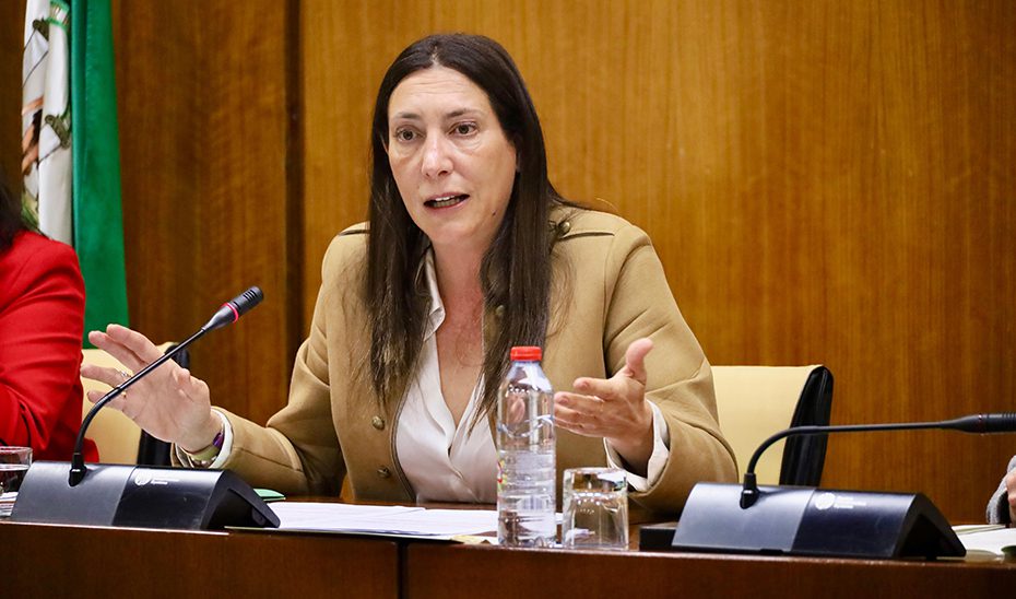 Andalucía destina 268,8 millones a la protección de la infancia y adolescencia, un 75% más que en 2018