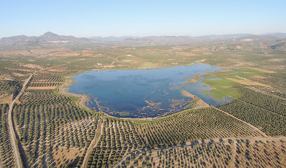 La Junta amplía la recuperación de la Laguna del Salobral con la adquisición de nuevas parcelas