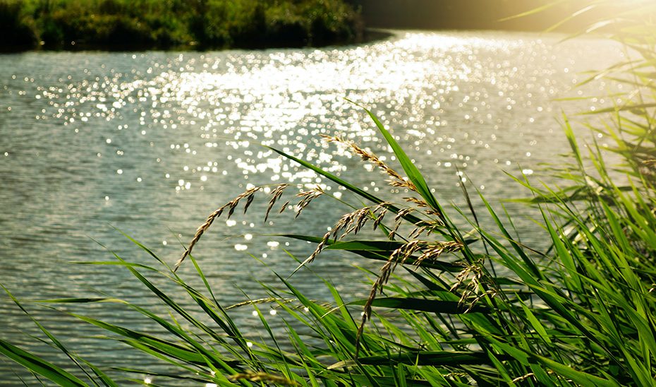 Declarada de emergencia la primera fase de las mejoras en cauces afectados por las borrascas