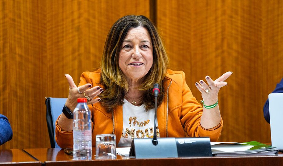 El Gobierno andaluz indica que los principales indicadores constatan el avance de la educación