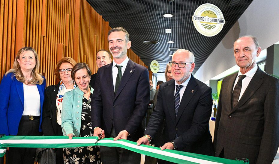 El 60% de las medidas de la I Estrategia Andaluza para el sector del olivar se está desarrollando