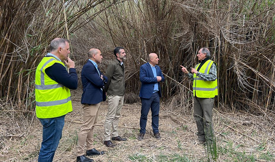 El Gobierno andaluz actúa de emergencia en la rambla de la Zambra para reforzar su seguridad