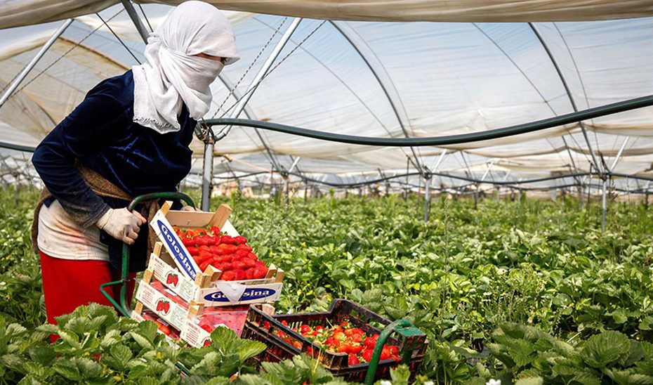 Ayudas de tres millones para la integración laboral de personas en riesgo o situación de exclusión social