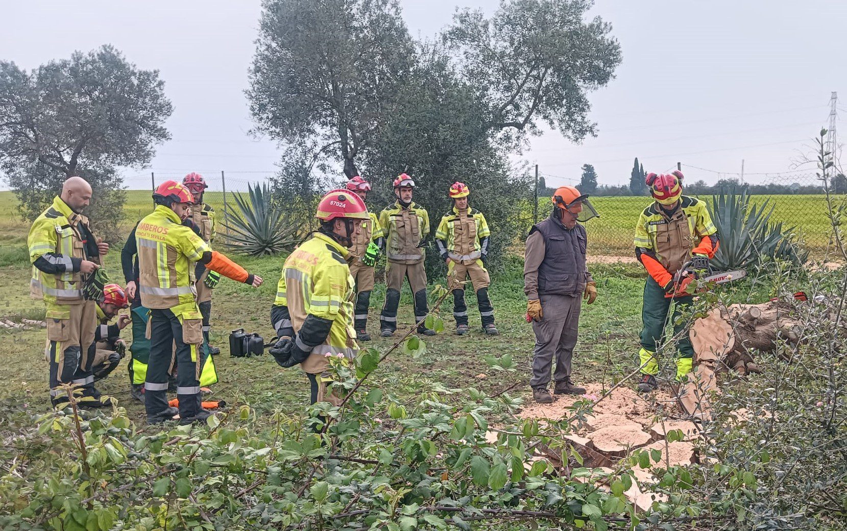 Bomberos de la provincia se forman en la utilización segura de motosierras en rescates, corte de árboles y ramas