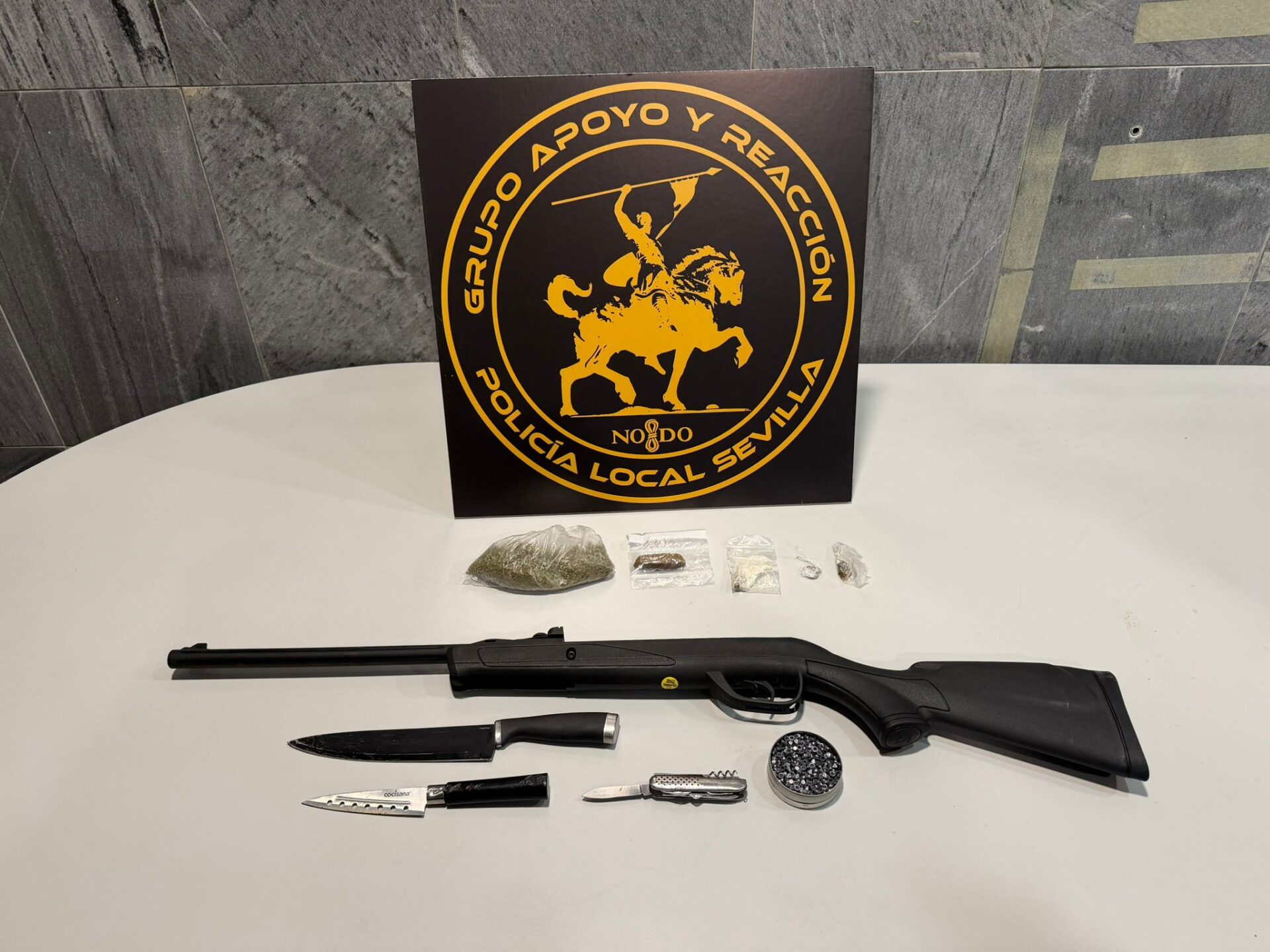 El GAR de la Policía Local de Sevilla salda su segundo día en la calle con más de 200 servicios realizados