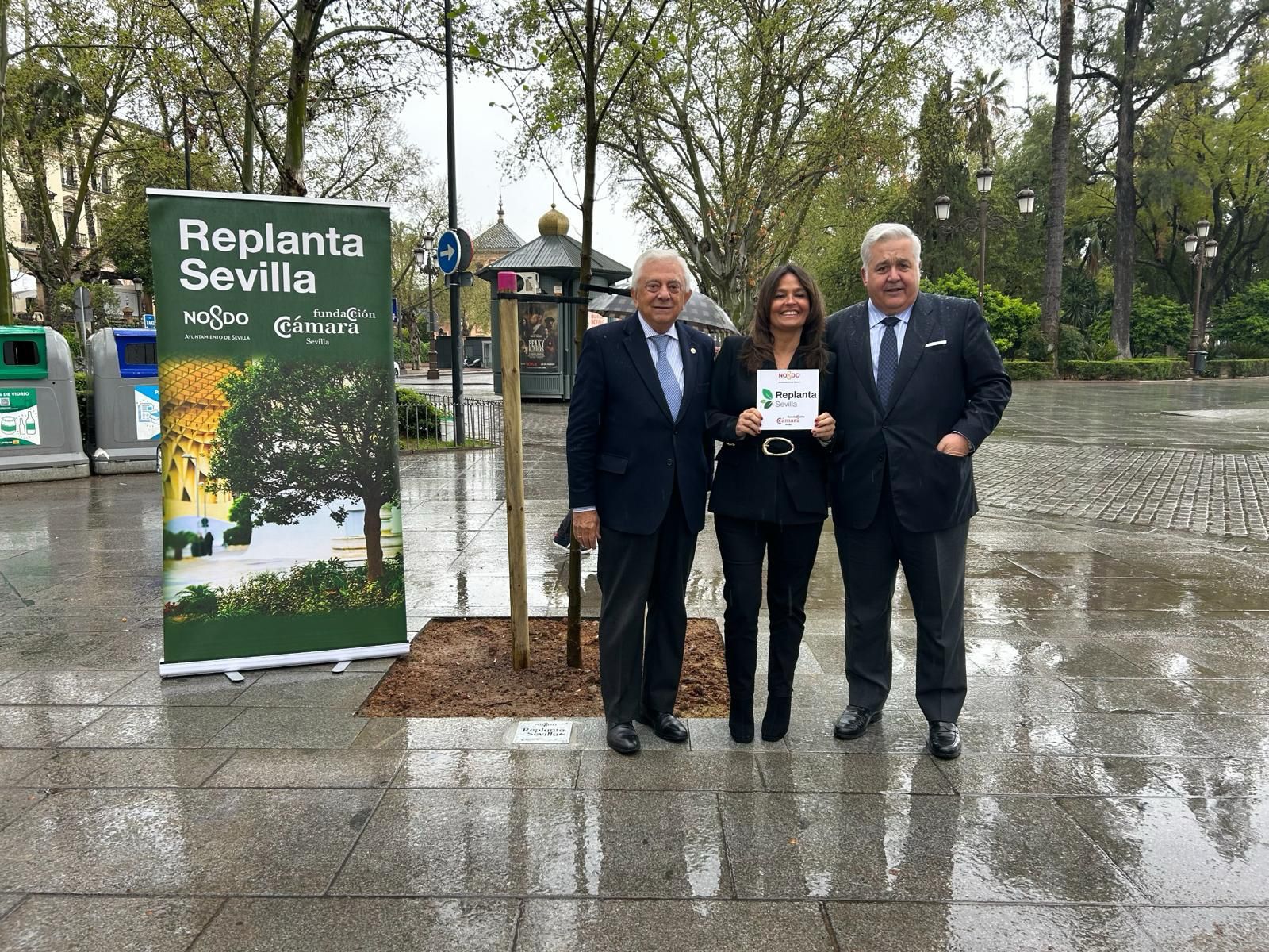 El Ayuntamiento y la Fundación Cámara de Comercio reconocen a Grupo Martín Casillas y Grupo Integra por su aportación al proyecto Replanta Sevilla