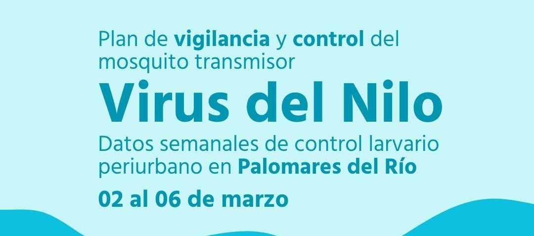 ACTUACIONES CONTRA EL MOSQUITO | Virus del Nilo