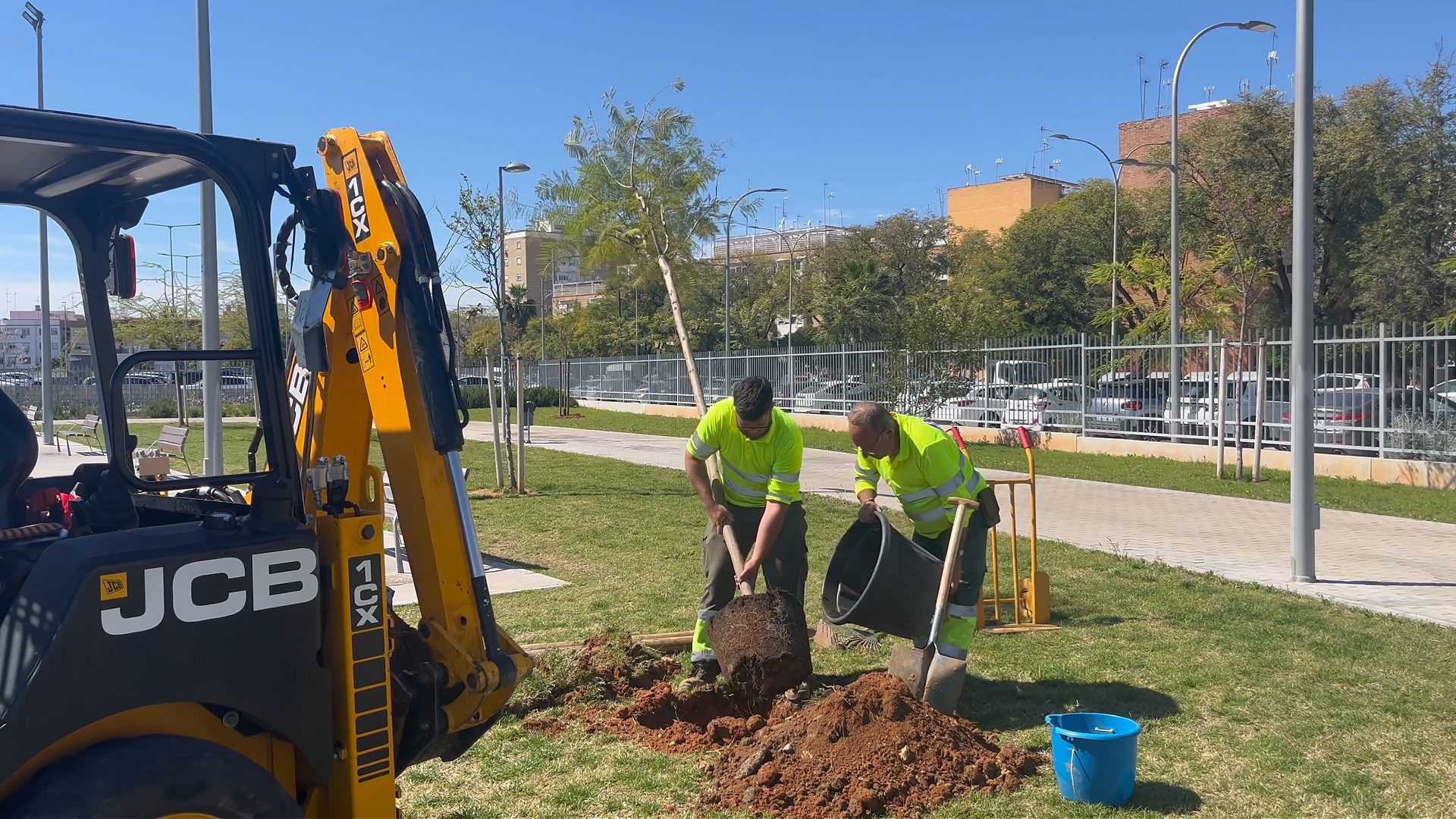 El Ayuntamiento incorpora 113 árboles en el Parque Cruz del Campo para reforzar la sombra y el arbolado