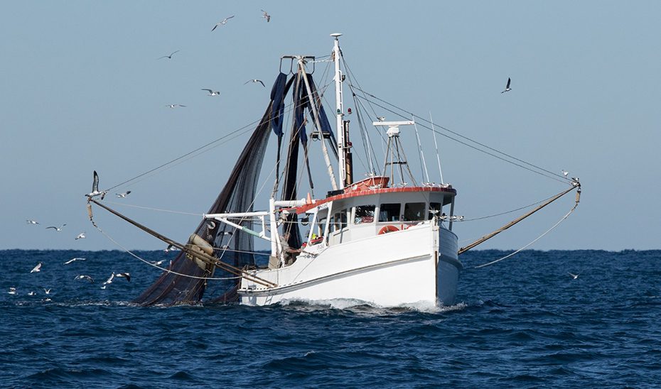 Convocadas ayudas para la recuperación de la capacidad productiva de la flota pesquera